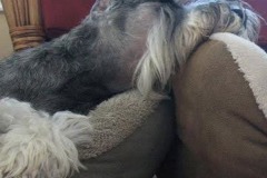 member-gallery-27