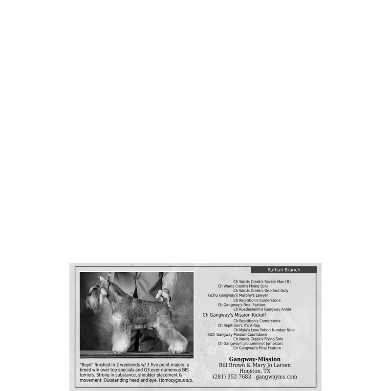 stud-ad-1-3-page-q4-2023-the-american-miniature-schnauzer-club