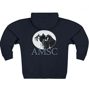 AMSC Sweatshirt