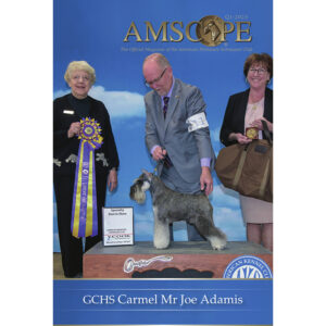 2025 - AMSC Magazines