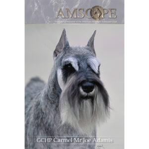 2026 - AMSC Magazines